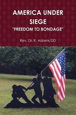 America Under Siege - R. Adams DD - cover