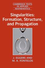 Singularities: Formation, Structure, and Propagation