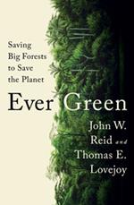 Ever Green: Saving Big Forests to Save the Planet