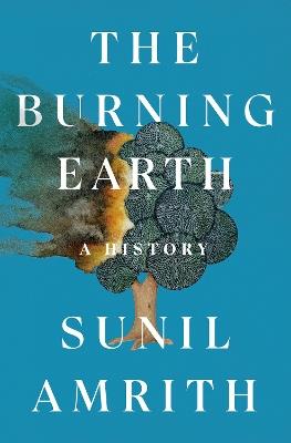 The Burning Earth: A History - Sunil Amrith - cover