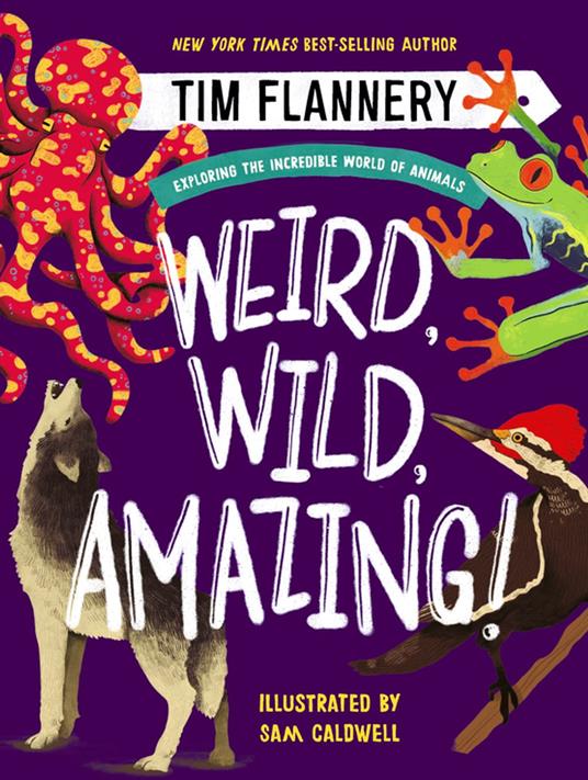 Weird, Wild, Amazing!: Exploring the Incredible World of Animals - Tim Flannery,Sam Caldwell - ebook