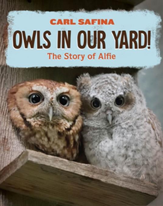 Owls in Our Yard!: The Story of Alfie - Carl Safina - ebook