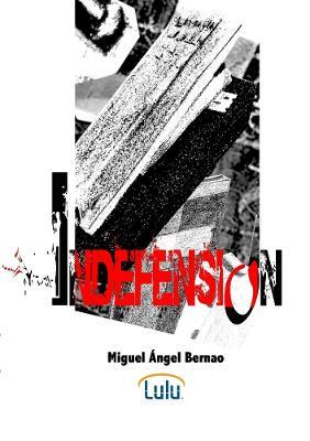 Indefension - Miguel Angel Bernao Burrieza - cover