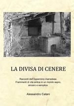 La divisa di cenere