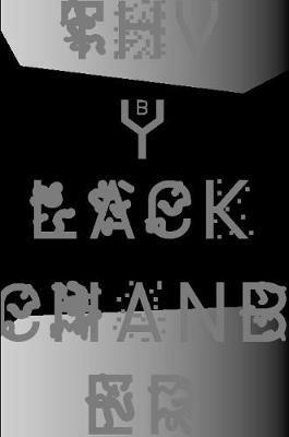 The Black Chamber. Surveillance, Paranoia, Invisibility & the Internet - Domenico Quaranta,Bani Brusadin,Eva Mattes - cover