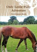 Only Lettie Pony Adventure - David James Smith - cover