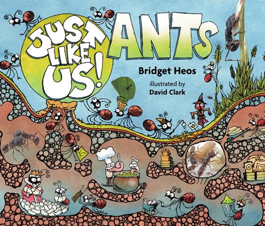 Just Like Us! Ants - Bridget Heos,David Clark - ebook