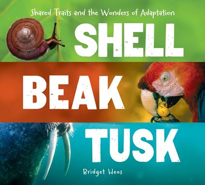 Shell, Beak, Tusk - Bridget Heos - ebook