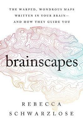 Brainscapes: The Warped, Wondrous Maps Written in Your Brain--And How They Guide You - Rebecca Schwarzlose - cover