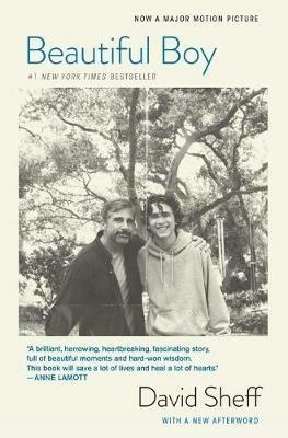 Beautiful Boy (Tie-In): A Father's Journey Through His Son's Addiction - David Sheff - cover