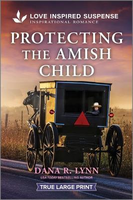 Protecting the Amish Child - Dana R Lynn - cover