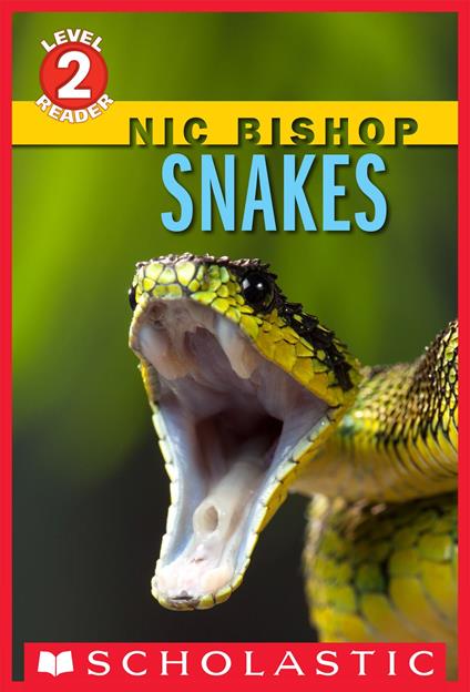 Snakes (Scholastic Reader, Level 2) - Nic Bishop - ebook
