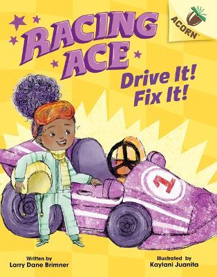 Drive It! Fix It!: An Acorn Book (Racing Ace #1): Volume 1 - Larry Dane Brimner - cover