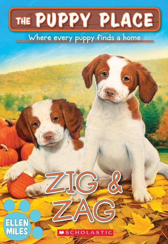 Zig & Zag (The Puppy Place #64) - Ellen Miles - ebook