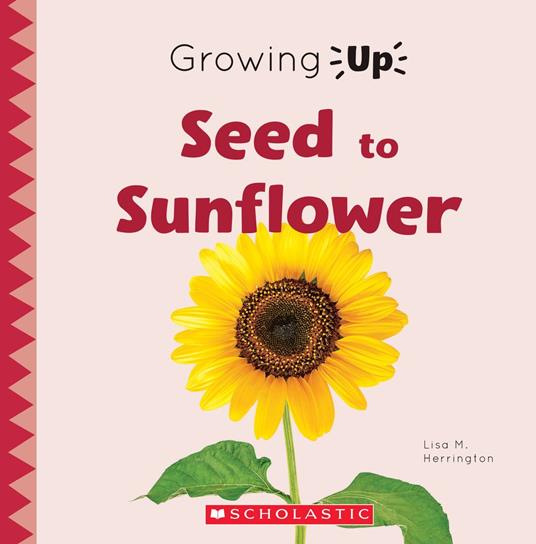 Seed to Sunflower (Growing Up) - Lisa M. Herrington - ebook