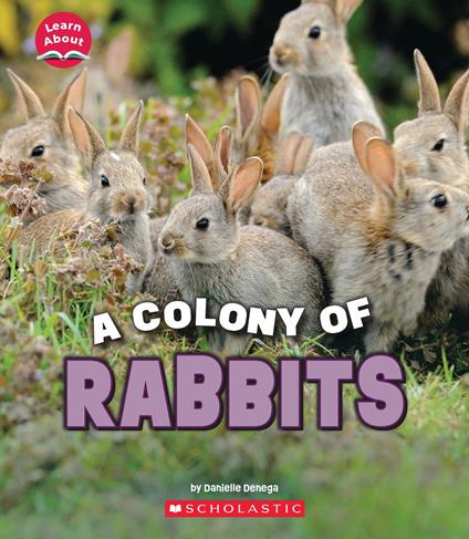 A Colony of Rabbits (Learn About: Animals) - Danielle Denega - ebook