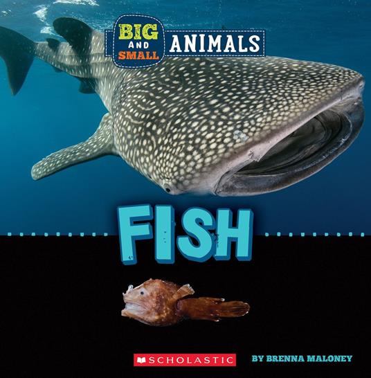 Fish (Wild World: Big and Small Animals) - Brenna Maloney - ebook