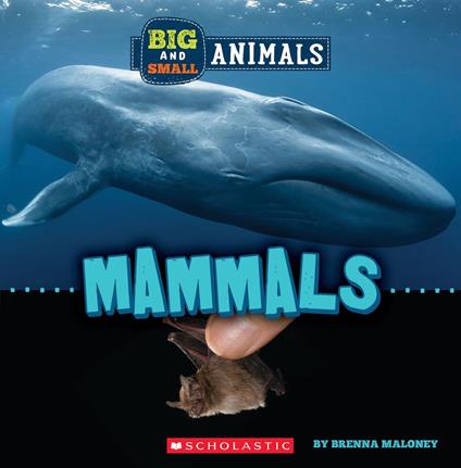 Mammals (Wild World: Big and Small Animals) - Brenna Maloney - ebook