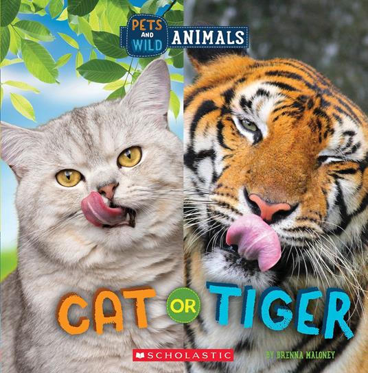 Cat or Tiger (Wild World: Pets and Wild Animals) - Brenna Maloney - ebook