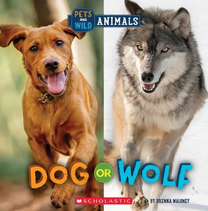 Dog or Wolf (Wild World: Pets and Wild Animals) - Brenna Maloney - ebook