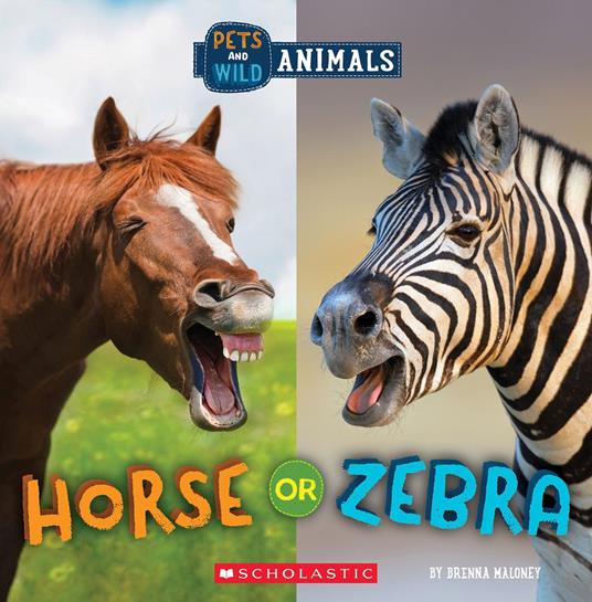 Horse or Zebra (Wild World: Pets and Wild Animals) - Brenna Maloney - ebook