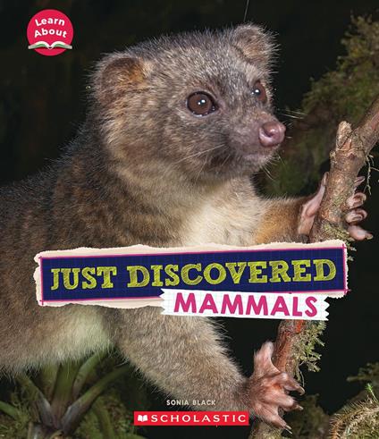 Just Discovered Mammals (Learn About: Animals) - Sonia W. Black - ebook