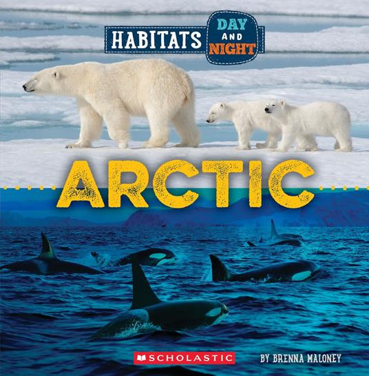 Arctic (Wild World: Habitats Day and Night) - Brenna Maloney - ebook