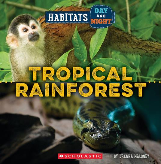 Tropical Rainforest (Wild World: Habitats Day and Night) - Brenna Maloney - ebook
