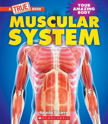 Muscular System (a True Book: Your Amazing Body) - Natasha Vizcarra - cover
