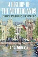 A History of the Netherlands: From the Sixteenth Century to the Present Day - Friso Wielenga - cover