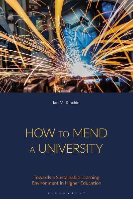 How to Mend a University: Towards a Sustainable Learning Environment In Higher Education - Ian M. Kinchin - cover