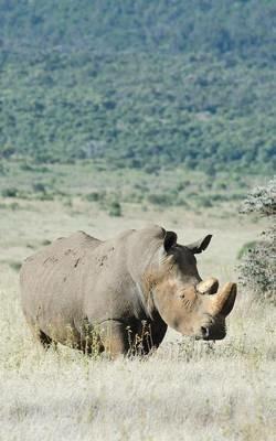 Alive! white rhino - Natural - Photo Art Notebooks (5 x 8 series) - Eva-Lotta Jansson - cover