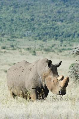 Alive! white rhino - Natural - Photo Art Notebooks (6 x 9 series): by Photographer Eva-Lotta Jansson - Eva-Lotta Jansson - cover