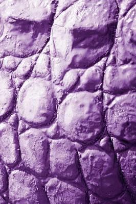 Alive! crocodile skin - Violet duotone - Photo Art Notebooks (6 x 9 series): by Photographer Eva-Lotta Jansson - Eva-Lotta Jansson - cover