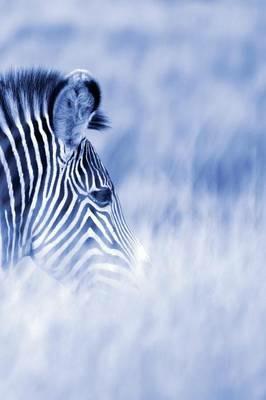 Alive! zebra stripes - Blue duotone - Photo Art Notebooks (6 x 9 series): by Photographer Eva-Lotta Jansson - Eva-Lotta Jansson - cover