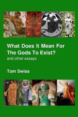 What Does it Mean for the Gods to Exist? - Tom Swiss - cover