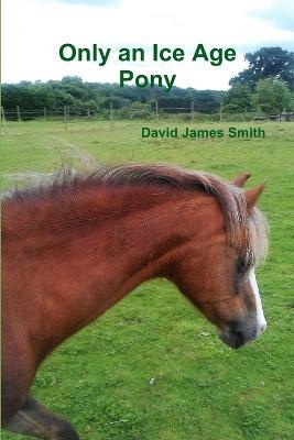 Only an Ice Age Pony - David James Smith - cover