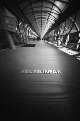 Rectilinear: Turista - T E Schlemmer - cover