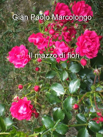 Il mazzo di fiori - Gian Paolo Marcolongo - ebook