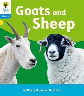 Oxford Reading Tree: Floppy's Phonics Decoding Practice: Oxford Level 3: Goats and Sheep - Suzannah Ditchburn - cover