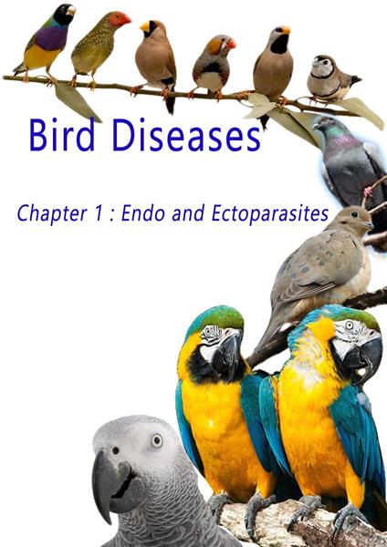 Bird Diseases: Chapter 1 Endo and Ectoparasites