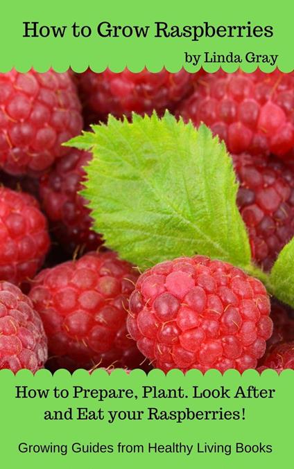 How to Grow Raspberries