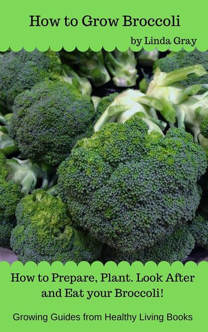 How to Grow Broccoli