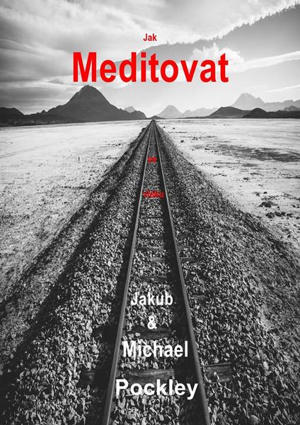 Jak meditovat ve vlaku - Jakub Pockley,Michael Pockley - ebook