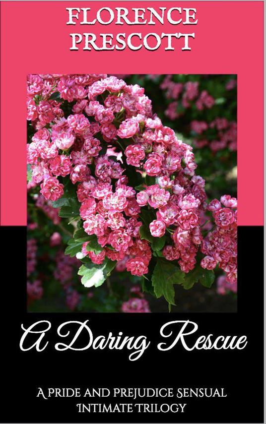 A Daring Rescue: A Pride and Prejudice Sensual Intimate Trilogy