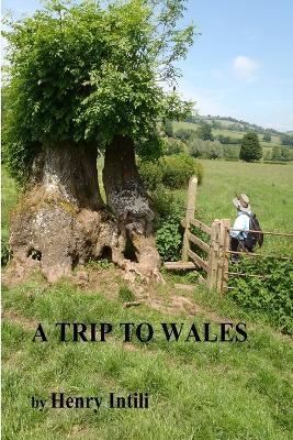 A Trip to Wales 2018 - Henry Intili - cover