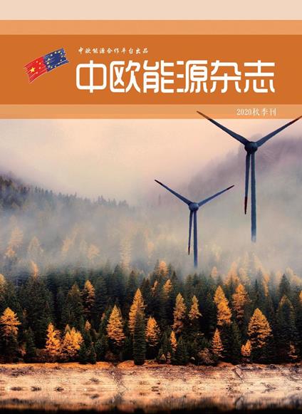 ????????? - EU-China Energy Cooperation Platform Project - ebook