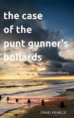 The Case Of The Punt Gunner's Bollards