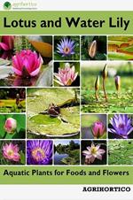 Lotus and Water Lily: Aquatic Plants for Foods and Flowers