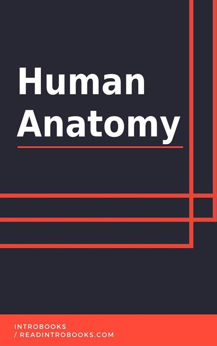 Human Anatomy